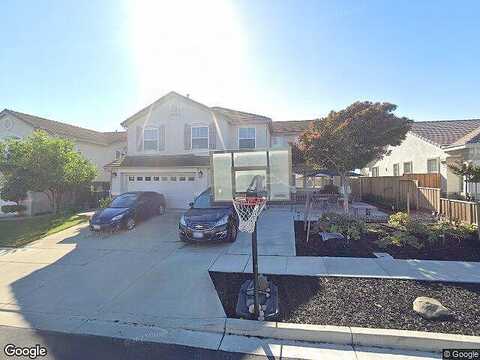 Pinenut, OAKLEY, CA 94561