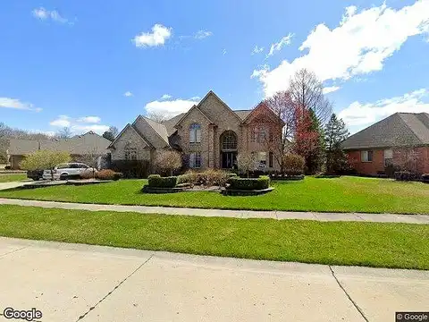 Fallen Tree, STERLING HEIGHTS, MI 48314