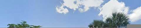 Foxtail Palm, LAKE WORTH, FL 33463