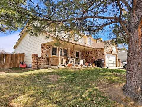 Yank, MORRISON, CO 80465