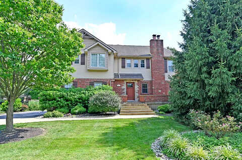 Aldine, BLUE ASH, OH 45242