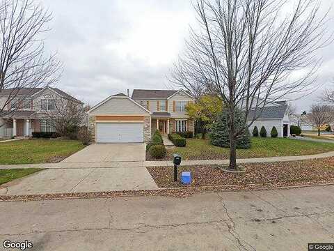 Larkspur, BOLINGBROOK, IL 60440