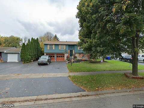 Snowberry, ROCHESTER, NY 14606