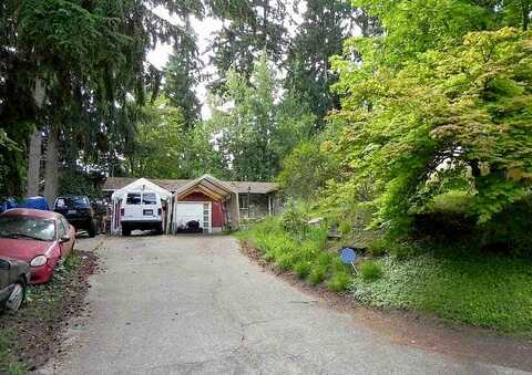 Cougar, LACEY, WA 98503