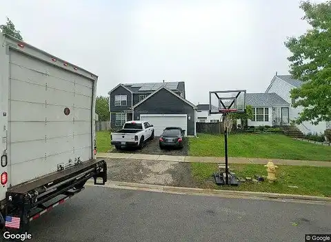 Larkspur, BOLINGBROOK, IL 60440