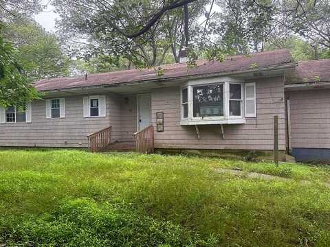Woodlot, RIDGE, NY 11961