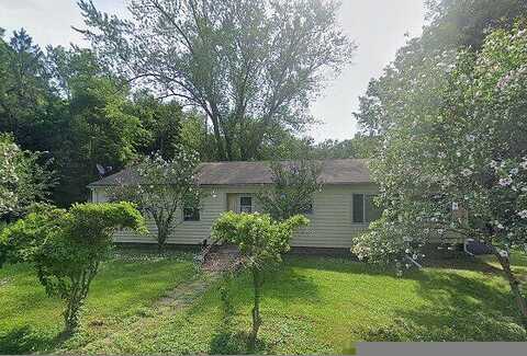 Snake, CATSKILL, NY 12414