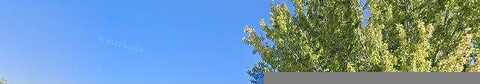 Shadow Park, RENO, NV 89523