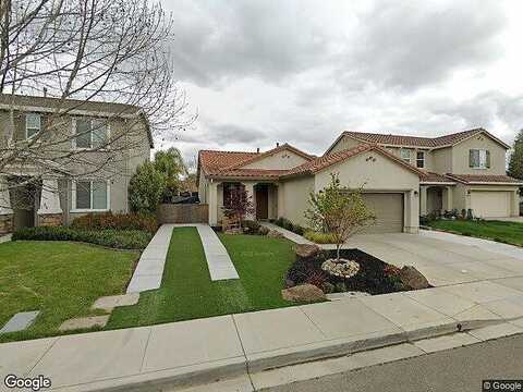Tazetta, OAKLEY, CA 94561