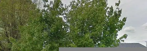 Center, GREENUP, KY 41144