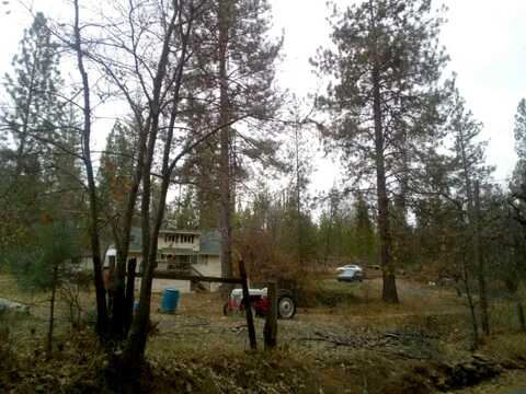 Dogtown, COULTERVILLE, CA 95311