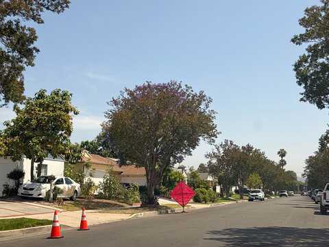 Cantaloupe, VAN NUYS, CA 91405