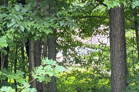 Dorn Spur, BOONVILLE, NY 13309