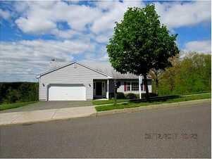 Wisteria, NAUGATUCK, CT 06770