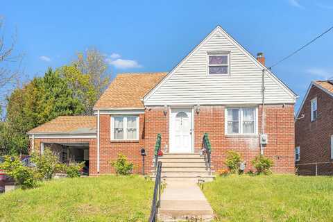 Mola, ELMWOOD PARK, NJ 07407
