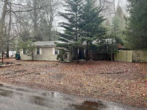 Spruce, OLD LYME, CT 06371