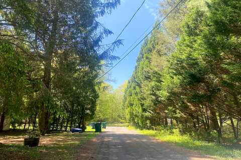 Spruce, OLD LYME, CT 06371