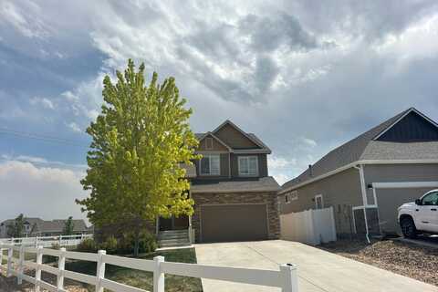 Park Edge, WINDSOR, CO 80550