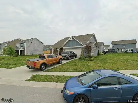 Lupine, PLAINFIELD, IN 46168