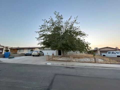 Cholla, BARSTOW, CA 92311