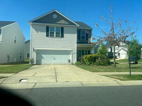 Maidenhair, CHARLOTTE, NC 28215
