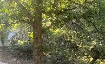Sleepy Hollow, CEDAR HILL, TX 75104