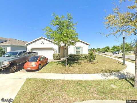 Carmillion, GROVELAND, FL 34736