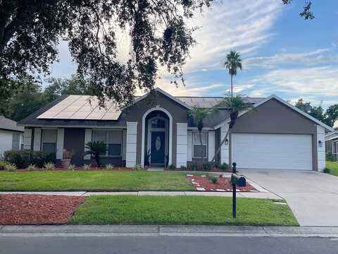 Mill, TAMPA, FL 33647