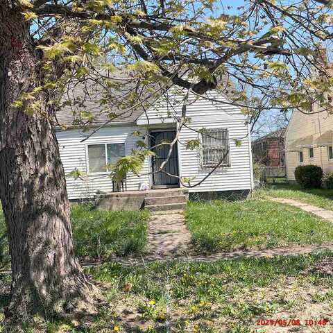 Ohio Detroit Mi 48204, Detroit, MI 48204