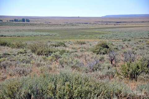 Tbd Mud Flat Road, Grand View, ID 83624