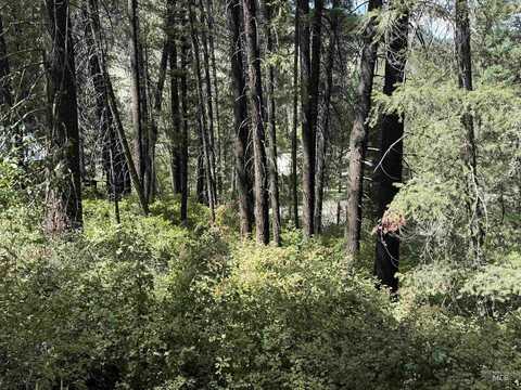Tbd Fruitvale-Glendale Rd, Council, ID 83612