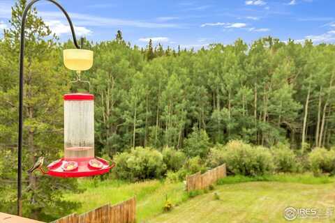 212 Glen Mawr Dr, Black Hawk, CO 80422