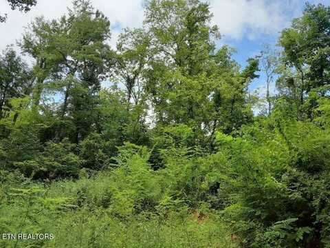 2036 Ridge Rd, Pigeon Forge, TN 37863