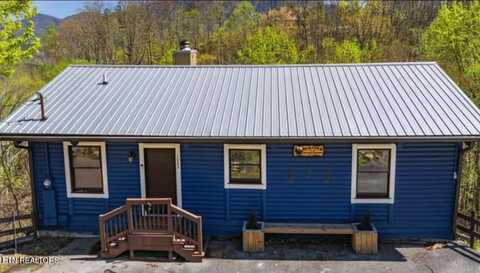 1023 Twin Oaks Rd, Gatlinburg, TN 37738