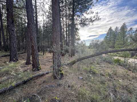 0 Partin Drive, Beatty, OR 97621