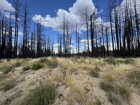 0 Shasta Fir Lane, Beatty, OR 97621