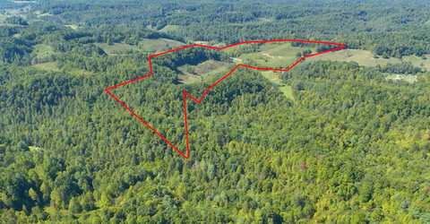 Tbd KY-1010, Hazel Green, KY 41332