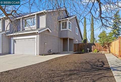 Treeflower, LIVERMORE, CA 94551