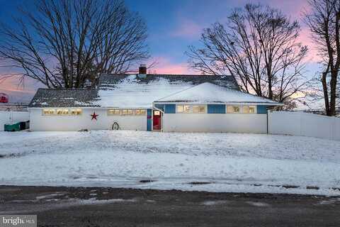 Spinythorn, LEVITTOWN, PA 19056