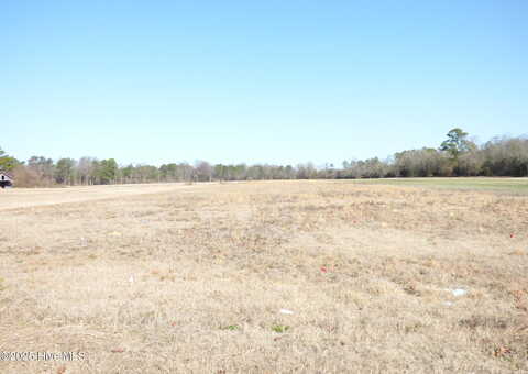 Tract 1 Tart Town Road, Dunn, NC 28334