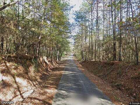 Lucas Hollow Rd, Mount Olive, MS 39119