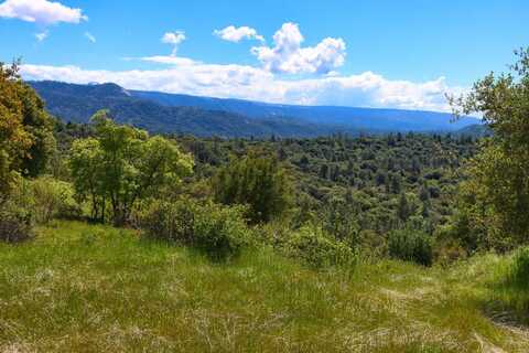 Old Yosemite Rd, Oakhurst, CA 93644