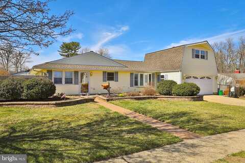 Maple, LEVITTOWN, PA 19054