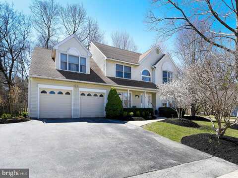 Sweet Gum, LAFAYETTE HILL, PA 19444