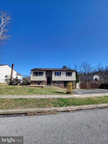 Grove, MOHNTON, PA 19540