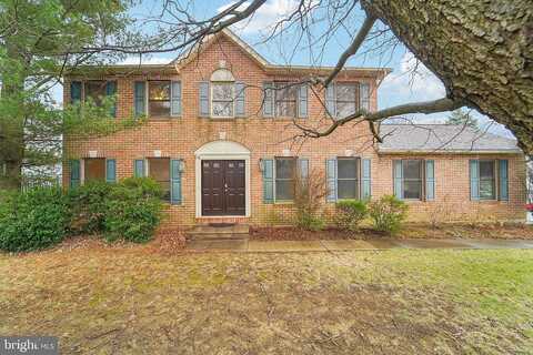 Aster, NAZARETH, PA 18064