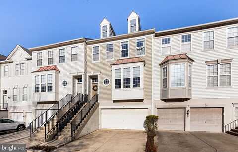 Honey Locust, LAFAYETTE HILL, PA 19444