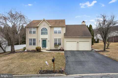 Hoops, EASTON, PA 18040