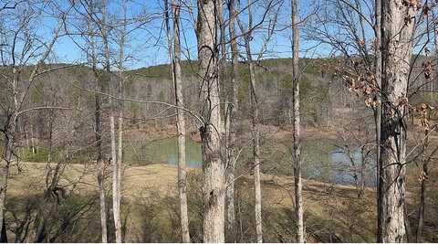 Stoney Ledge, FAIRMOUNT, GA 30139
