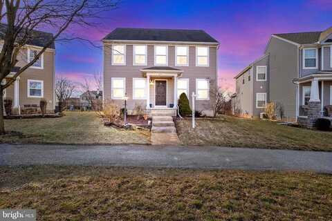 Basil, MARIETTA, PA 17547